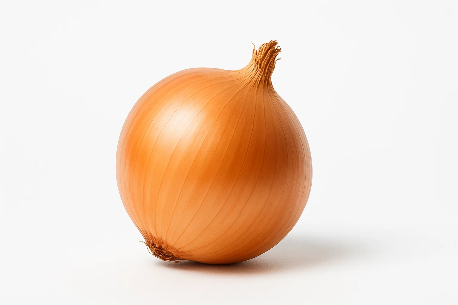 Oignons